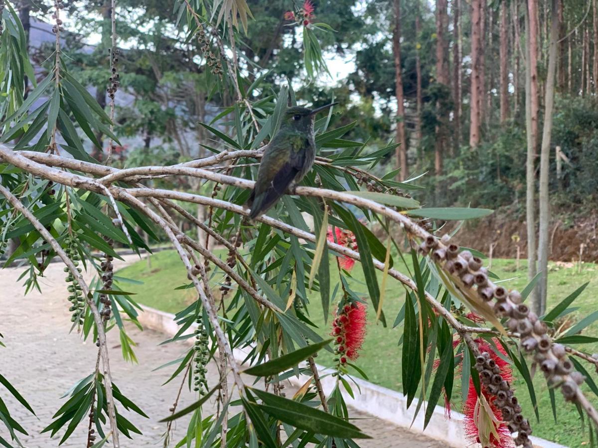 Flor De Cafe Pousada Pedra Menina Zewnętrze zdjęcie